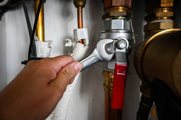 Best Pipe Repair Near Me  in Waimea, HI